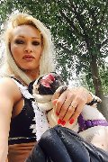 Milano Trans Escort Lolyta Barbie 329 15 33 879 foto selfie 8