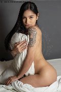 Foto Akita Trans Asiatica Annunci Trans Padova 3894245796 - 1