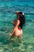 Foto Alessandre Xxii Annunci Trans Gallarate 3317852006 - 39