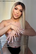 Foto Angel Bunny Annunci Trans Milano 3474642611 - 1