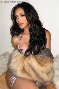 Foto Angel Bunny Annunci Transescort Milano 3474642611 - 22