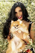 Foto Ariadna Annunci Trans Bologna 3887519396 - 62