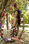 Foto Ariadna Annunci Transescort Bologna 3887519396 - 74