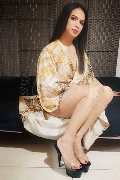 Foto Biancaladyboy Annunci Transescort Pordenone 3932233064 - 48