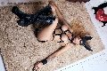 Foto Bruna Mor Annunci Transescort Roma 3510998222 - 28