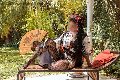 Foto Diana Ferraz Annunci Trans Firenze 3271287566 - 91