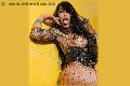 Foto Erotika Flavy Star Annunci Transescort Reggio Emilia 3387927954 - 99