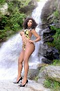 Foto Estrella Annunci Trans Torino 3801783164 - 93