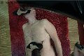 Foto Julia Annunci Mistress Cuneo 3762329100 - 12