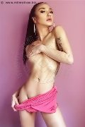 Foto Katrina Asiatica Annunci Transescort Milano 3935020179 - 3