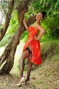 Foto Keylla Marques Pornostar Xxl Annunci Trans Fortaleza 3337112655 - 62