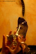 Foto Lady De Sade Italy Annunci Mistress Marina Di Carrara 3392160761 - 6