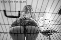 Foto Lady Giuliette Annunci Mistress Verona 3486833721 - 16