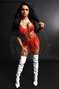 Foto Loren Annunci Trans Pesaro 3890085359 - 16