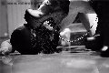 Foto Madame Jacqueline Domina Annunci Mistress Vicenza 3884822293 - 23