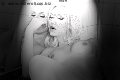 Foto Mary Ts Annunci Trans Francoforte 00491751281117 - 7