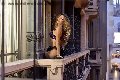 Foto Rayca Annunci Transescort San Gallo 3485638746 - 236