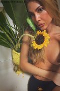 Ginevra Trans Escort Allien Ashtar  0041779468942 foto selfie 6