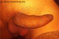 Napoli Trans Vittoria Mazza 334 77 63 969 foto selfie 17