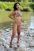 Foto Adriana Paulett Annunci Transescort 3891399263 - 388