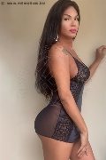 Foto Ana Paola Tx Annunci Transescort Prato 3509271150 - 14