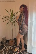 Foto Carolina Sexy Annunci Transescort Siena 3486599498 - 10