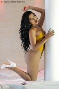Foto Celeste New Annunci Trans Civitanova Marche 3511837392 - 22