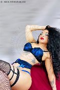 Foto Dior Annunci Transescort Genova 3472825420 - 222