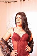 Foto Elisa Annunci Travescort Milano 3512604780 - 56