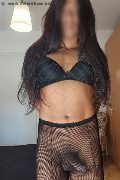 Foto Hot Giulia Cavali Attiva Annunci Travescort Milano 3203868114 - 193
