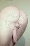 Foto Hot Vanessa Dior Annunci Travescort Noventa Di Piave 3450405832 - 8