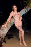 Foto Nick Miller Annunci Transescort Verona 3382945956 - 79
