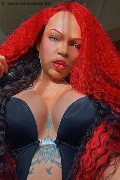 Genova Trans Escort Dior 347 28 25 420 foto selfie 17