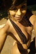 Sanremo Trans Vivy Noronha 333 18 67 209 foto selfie 17