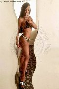 Sanremo Trans Vivy Noronha 333 18 67 209 foto selfie 8