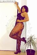 Foto Stella Annunci Transescort Caltanissetta 3279258947 - 7