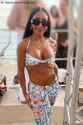Foto Vivy Noronha Annunci Trans Sanremo 3331867209 - 17